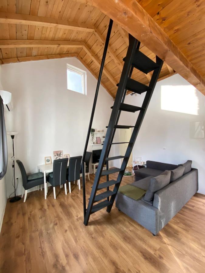 Kuca Za Odmor Astrea Villa Zaton  Eksteriør bilde